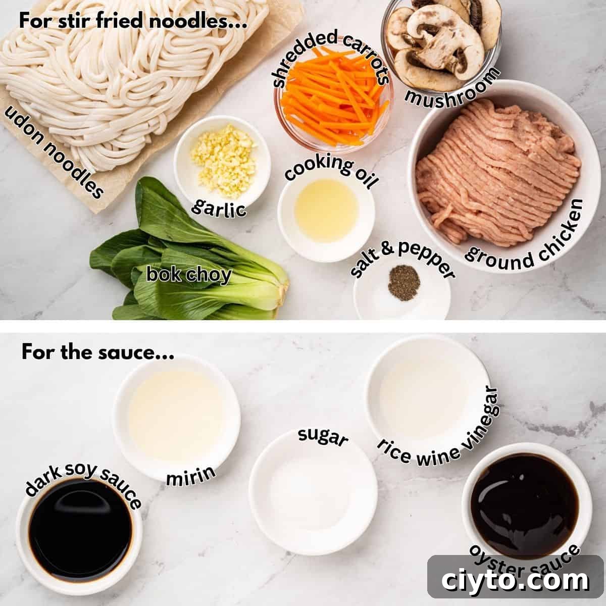 Ingredients for yaki udon: udon noodles, ground chicken, bok choy, shredded carrots, mushrooms and sauce.