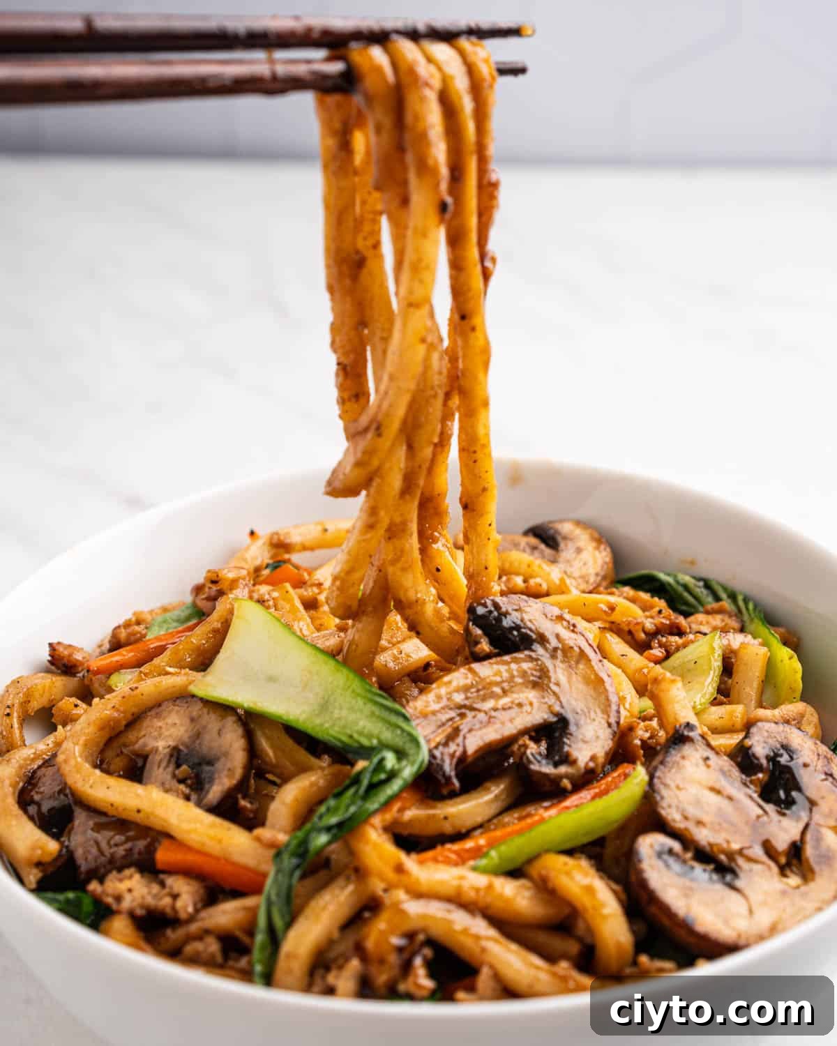 Chopsticks holding up saucy udon noodles.