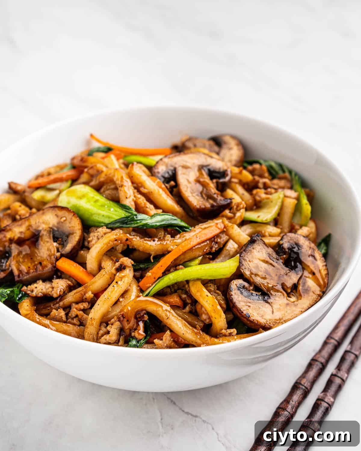 side view of bowl of yaki udon.