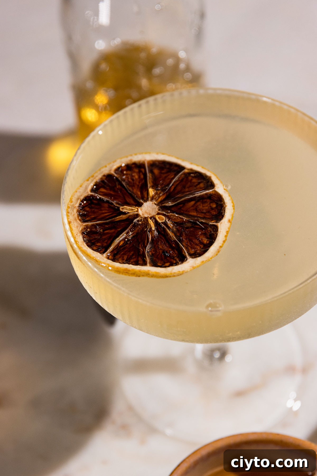 Classic Bee's Knees Cocktail Recipe 2 Dried lemon floating atop a bee's knees.