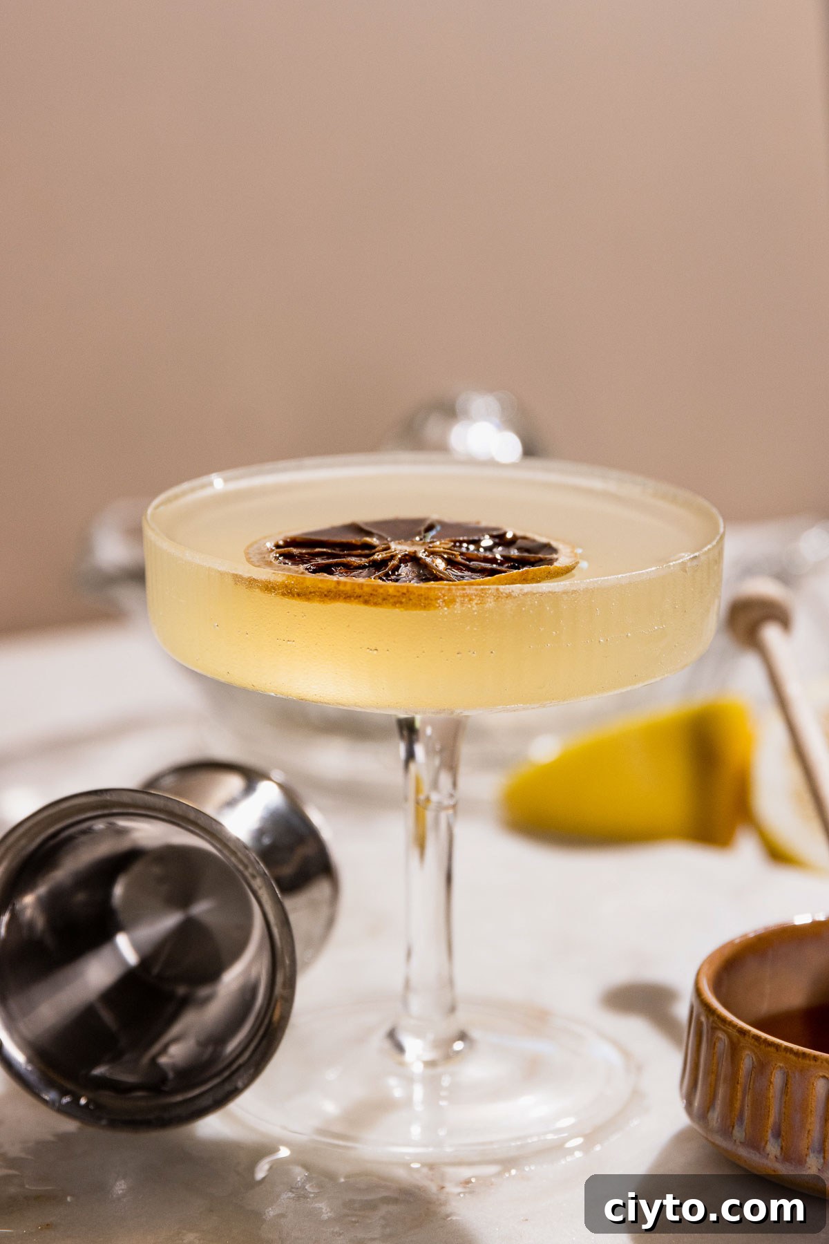 Classic Bee's Knees Cocktail Recipe 3 Side shot of a coupe glass filled to the rim with a frosty and refreshing bee's knees cocktail.