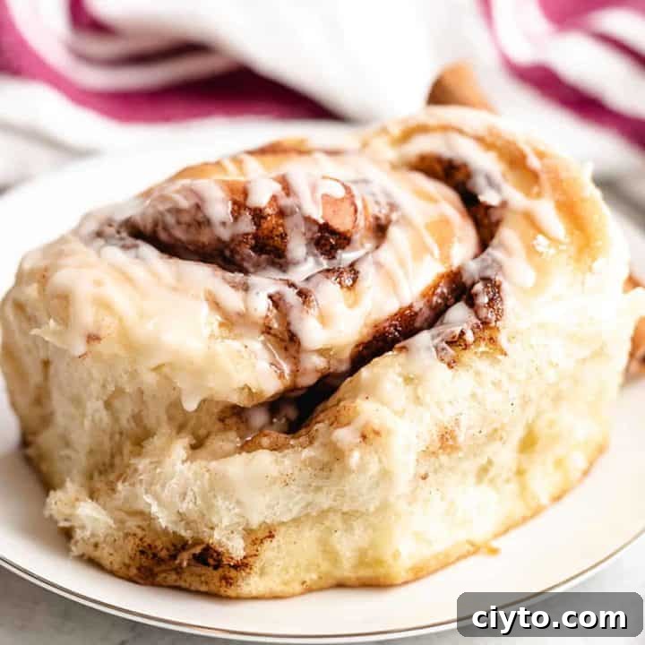 A close-up photo of a sourdough cinnamon roll.