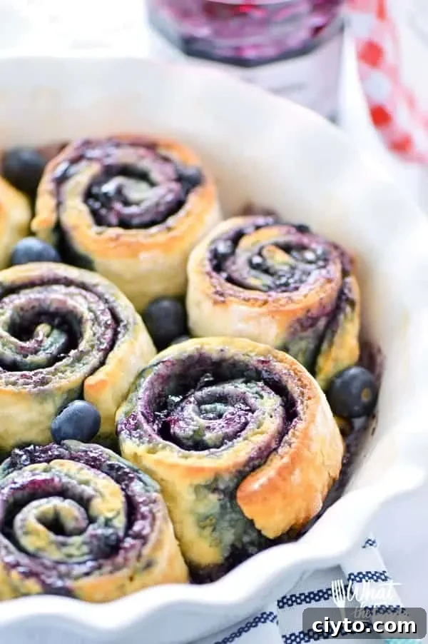 Blueberry rolls on a plate