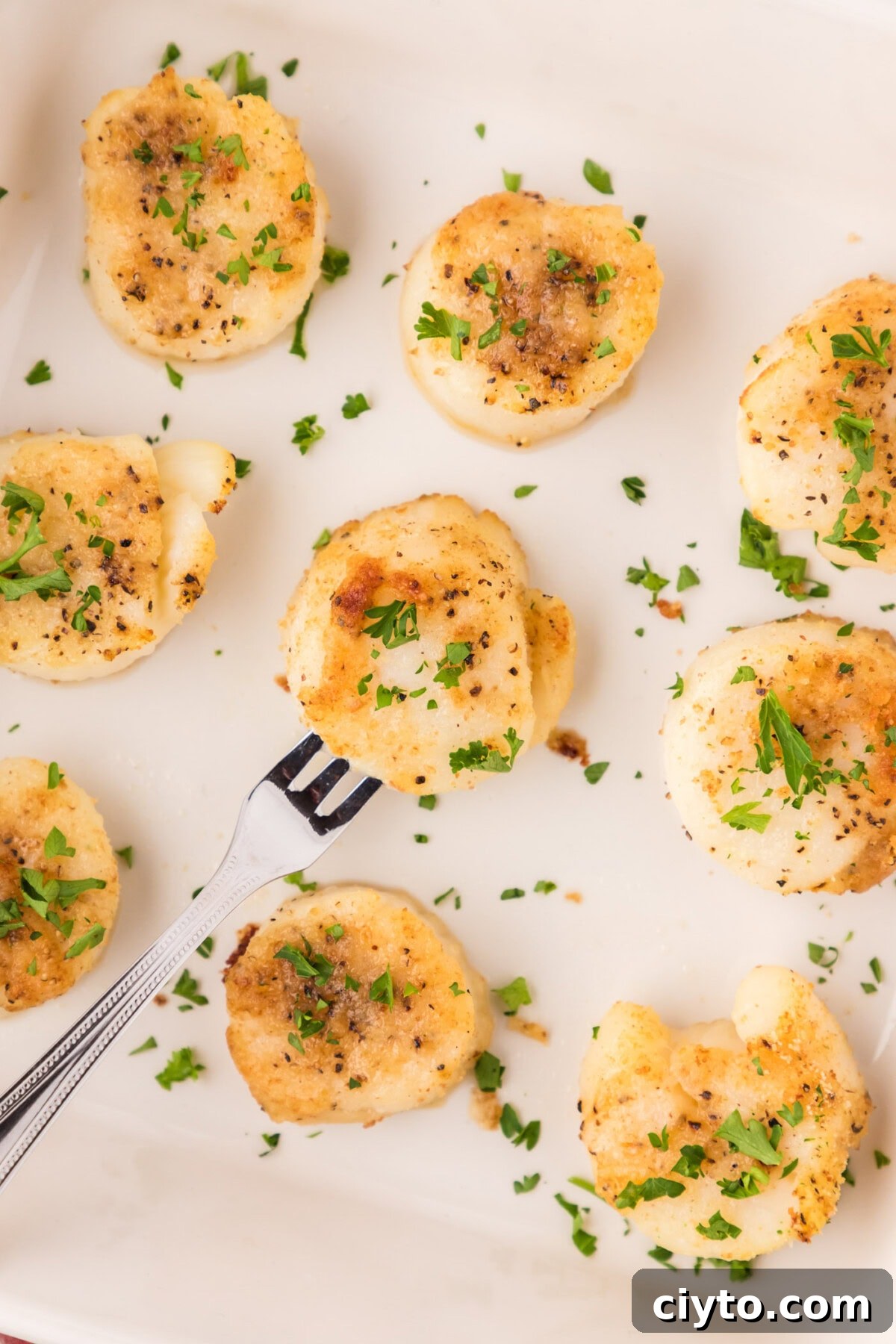 Garlic Butter Baked Scallops Recipe 10 Close up of Baked Scallops in a serving dish with a seafood platter