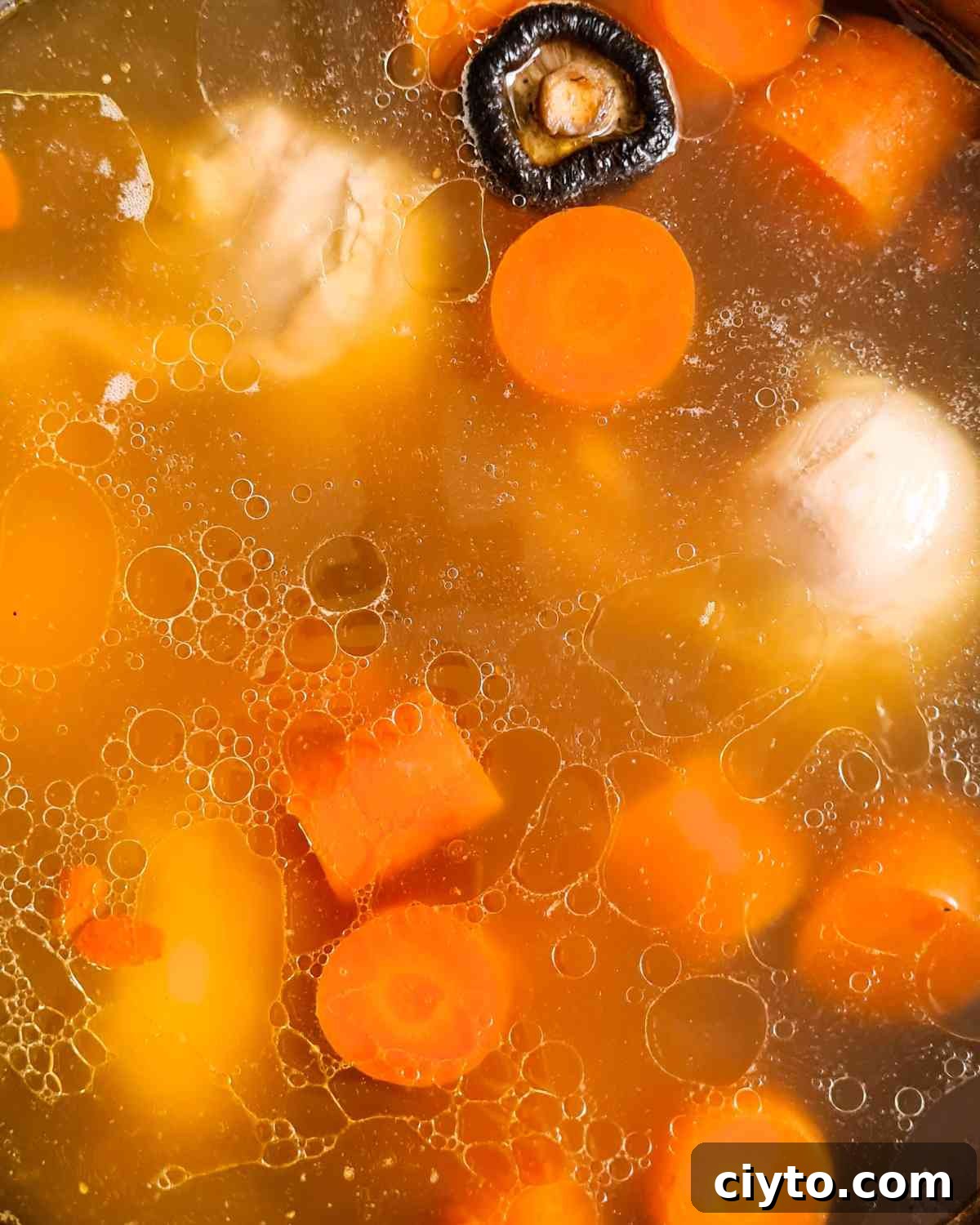 Close up of clear soup showing carrots, chicken and shiitake mushroom