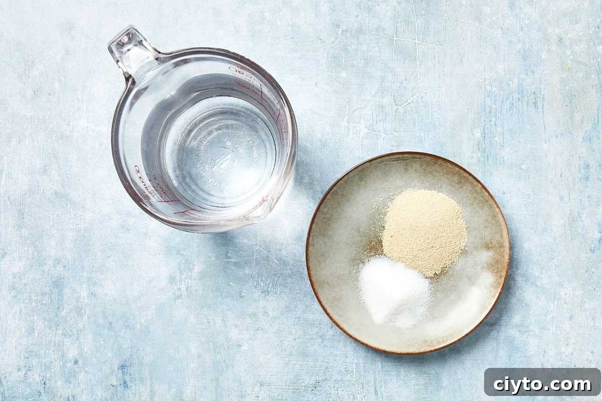 Yeast, sugar, and warm water shown together in preparation for blooming.