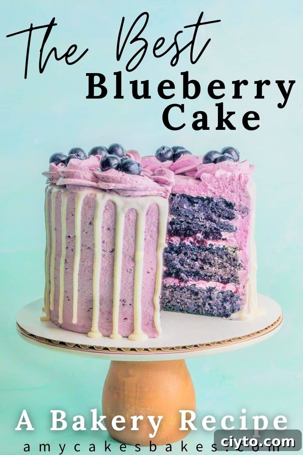 A pinterest pin image featuring a 6" blueberry cake with a slice taken out showing all the cake layers, and the text "the best blueberry cake" and "a bakery recipe" and "amycakesbakes.com"