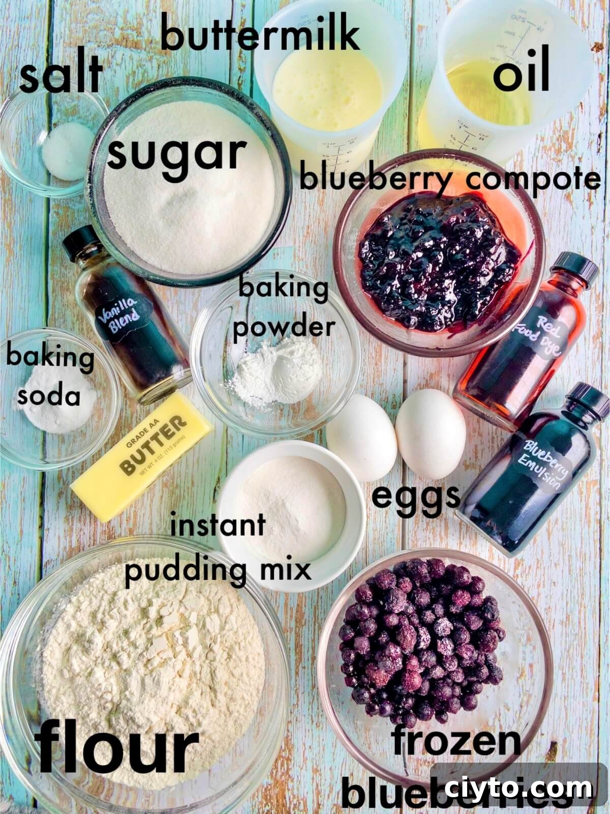 An overhead shot of all the ingredients listed in the blueberry cake recipe card.