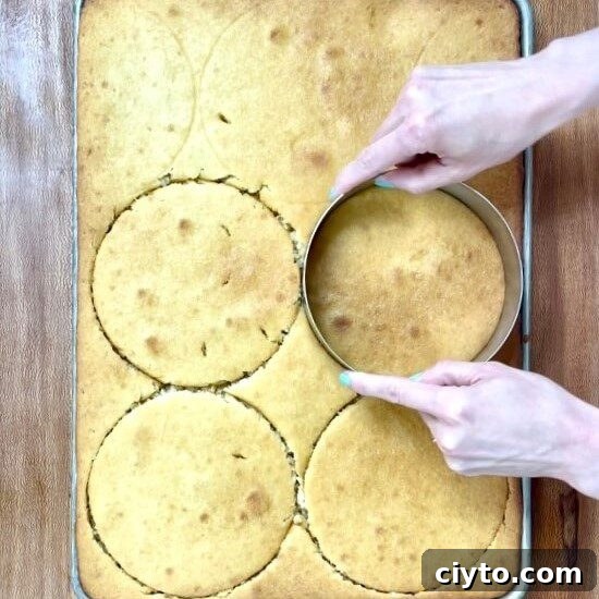 5 steps to layer cakes like a pro