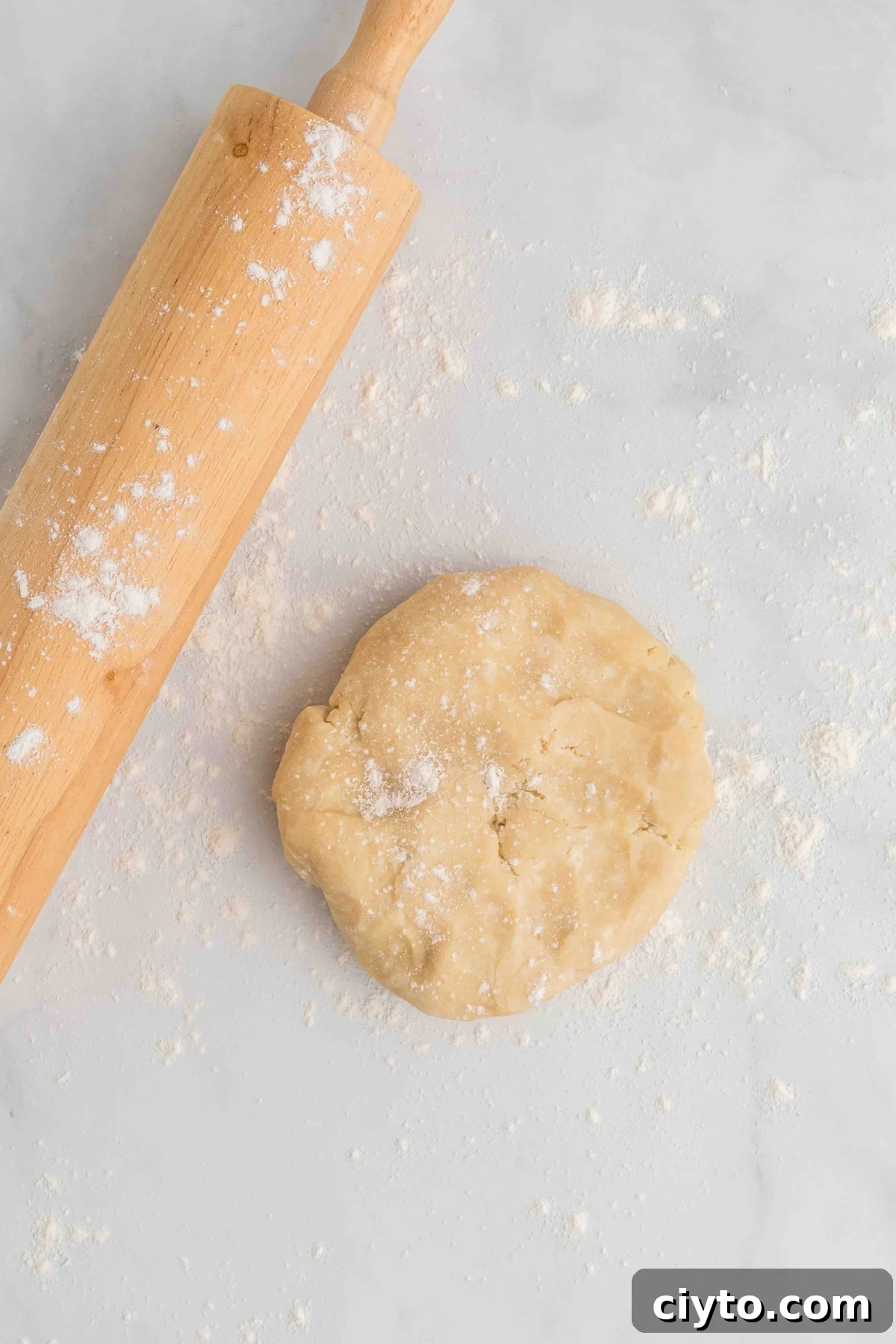 A disc of pie dough