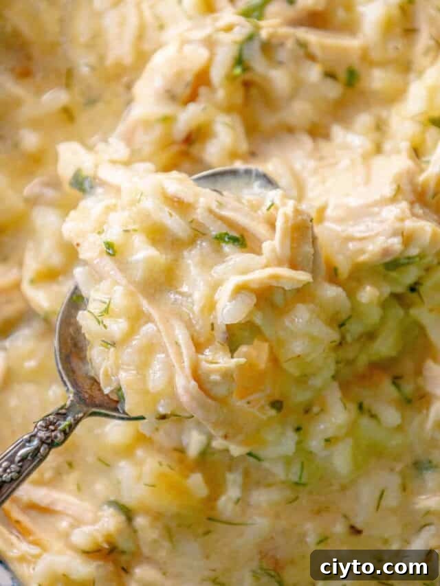 Authentic Greek Avgolemono Soup Recipe 3 A spoonful of chicken risotto in a skillet.