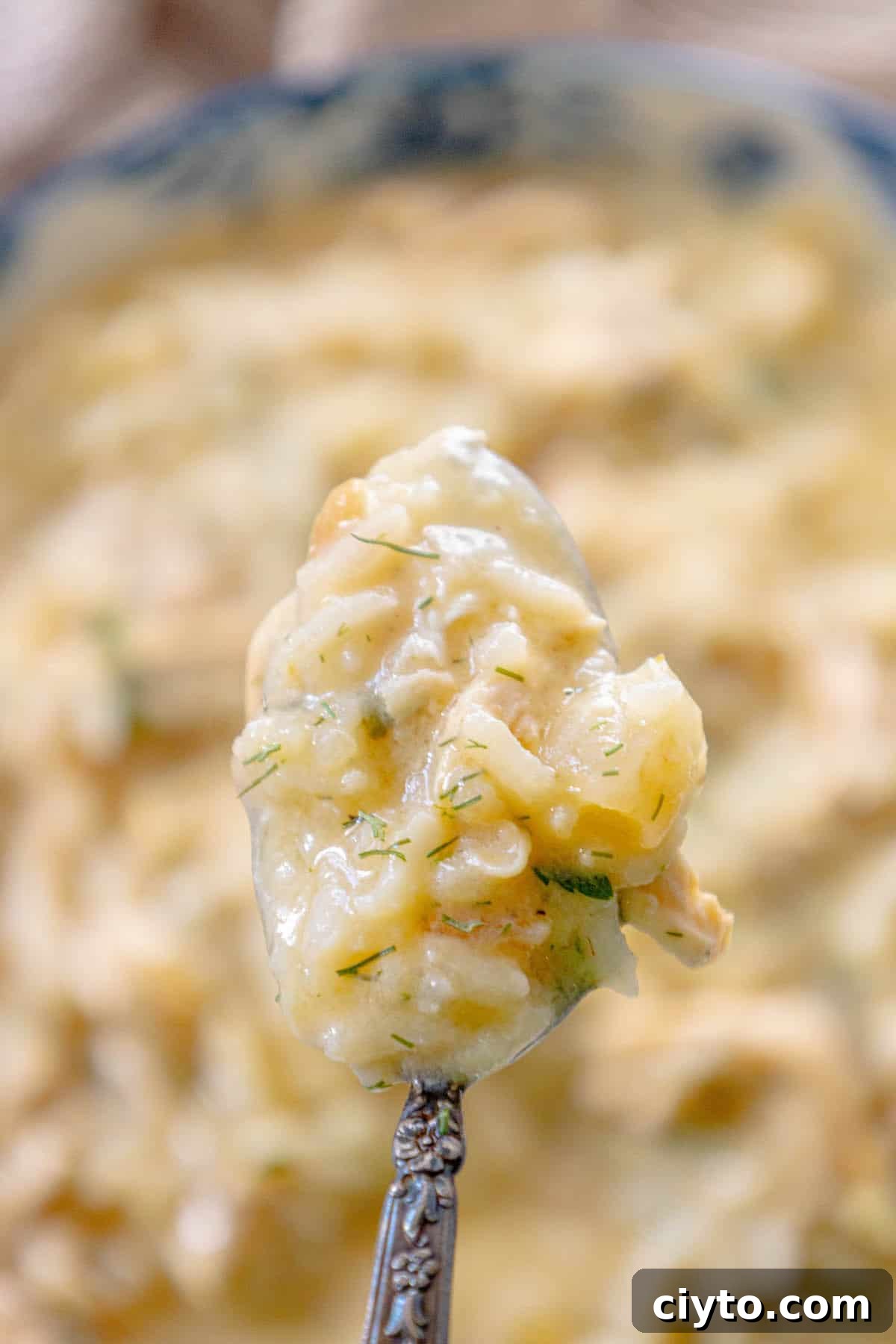 Authentic Greek Avgolemono Soup Recipe 7 Greek avgolemono soup on a spoon.
