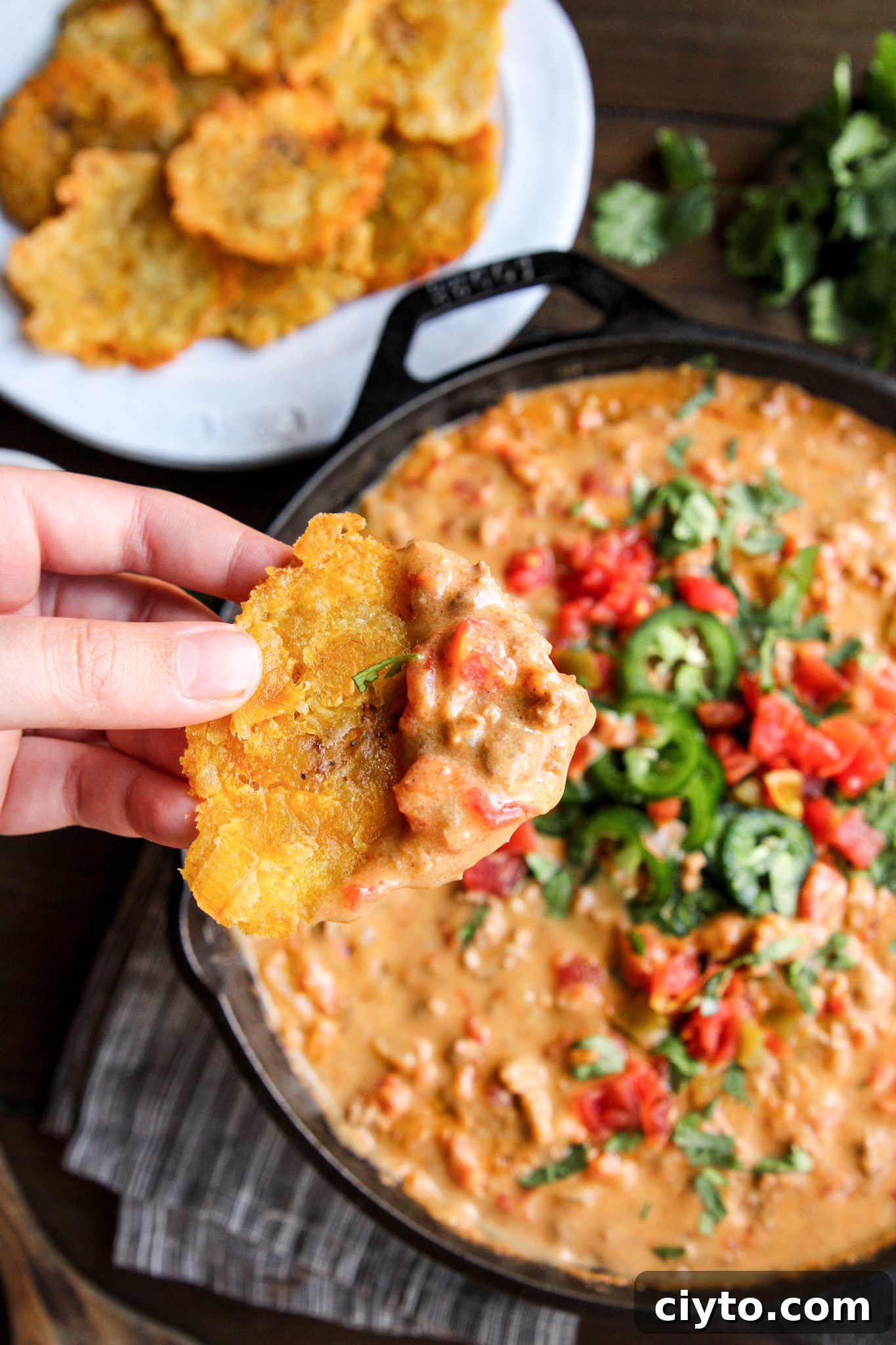 Whole30 Chili Con Queso - Paleo, Keto, gluten-free, dairy-free, nut-free, egg-free, vegan options