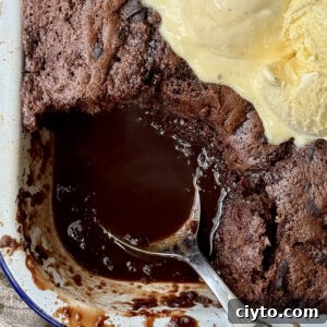 self saucing chocolate pudding in enamel dish with ice cream on top.